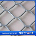 Hot Sale White Color Chicken Mesh \ Plastic Flat Netting